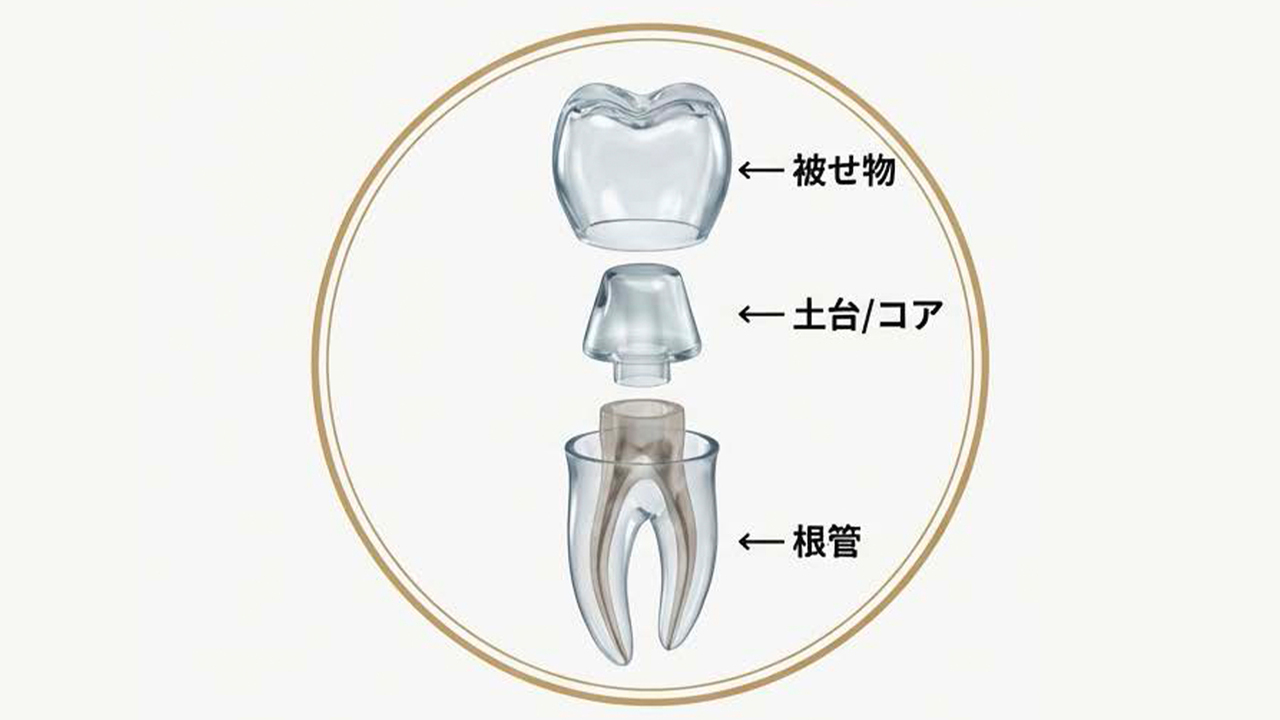 山形市の精密根管治療なら永田歯科医院